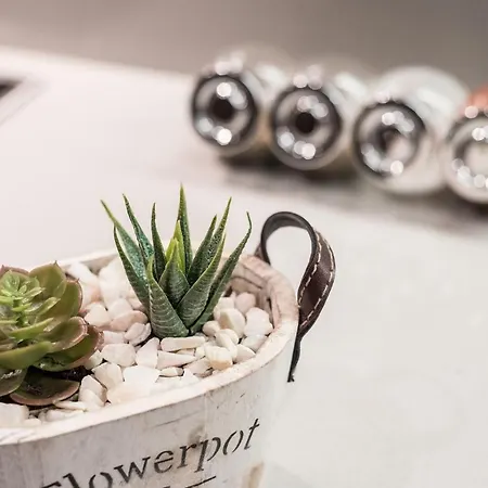 公寓 Art & Design *